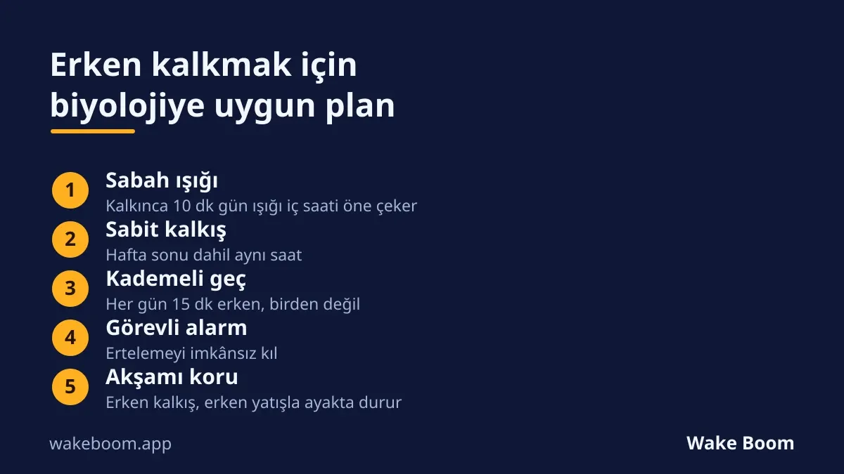 Erken kalkmak için biyolojik plan: sabah ışığı, sabit kalkış, kademeli geçiş, görevli alarm, erken yatış.