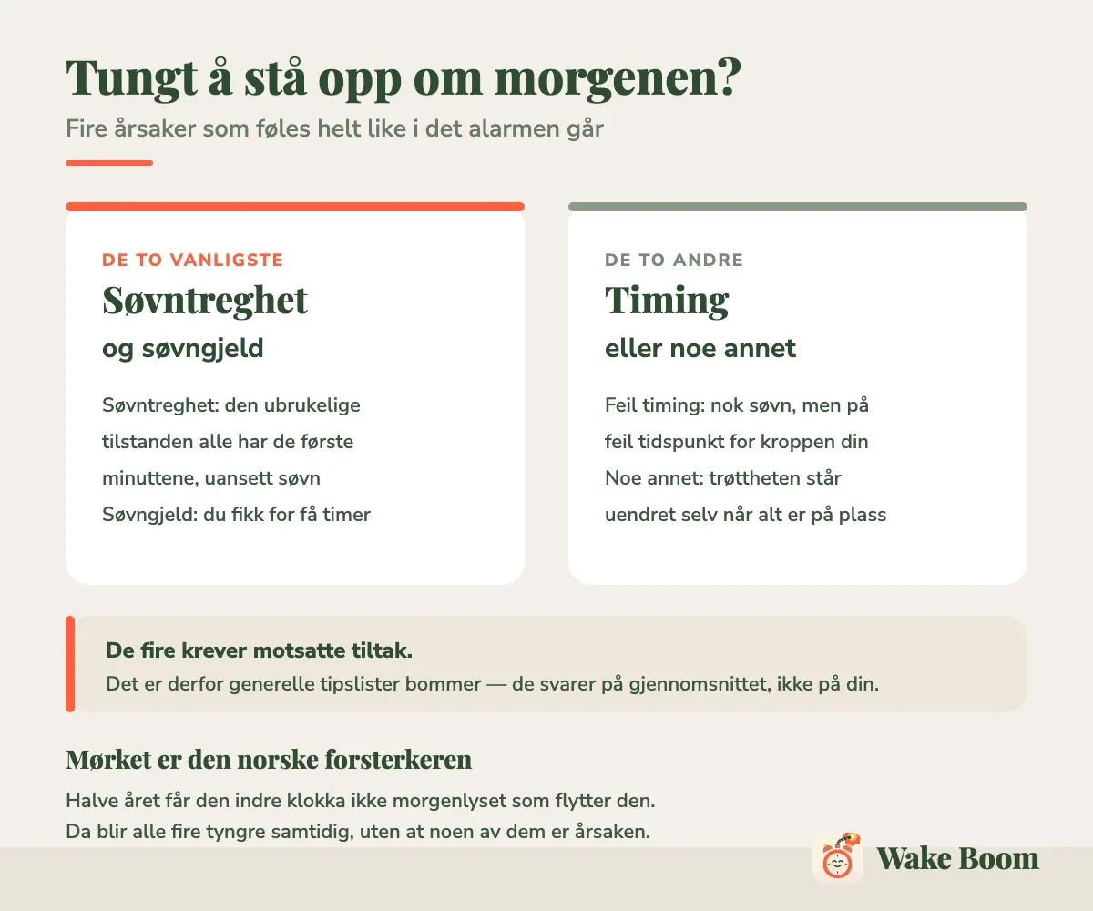 Infografikk: fire årsaker til tung morgen — søvntreghet, søvngjeld, feil timing og noe annet — som krever motsatte tiltak