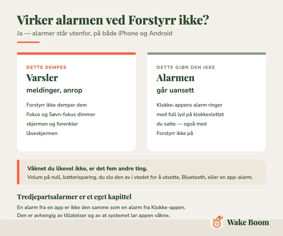Infografikk: Forstyrr ikke demper varsler, meldinger og anrop, men ikke alarmen fra Klokke-appen