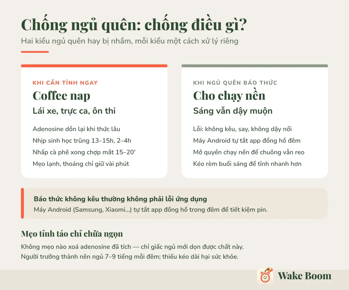 Chống ngủ quên: chống điều gì? — Hai kiểu ngủ quên hay bị nhầm, mỗi kiểu một cách xử lý riêng