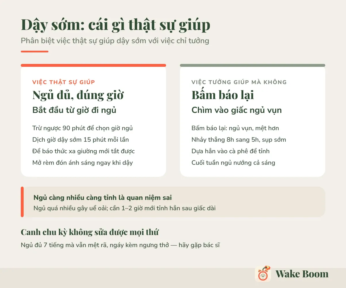 Dậy sớm: cái gì thật sự giúp — Phân biệt việc thật sự giúp dậy sớm với việc chỉ tưởng