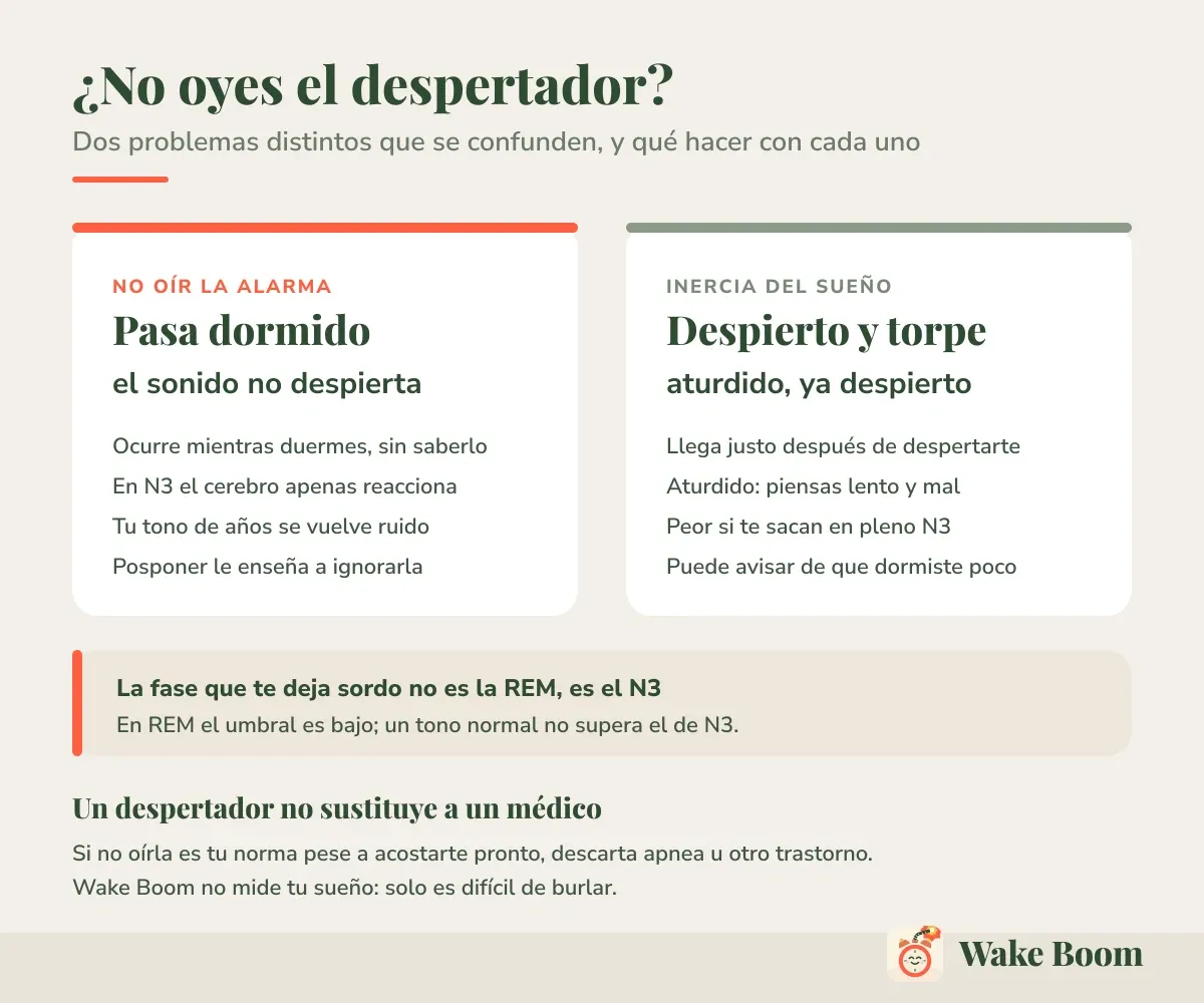 ¿No oyes el despertador? — Dos problemas distintos que se confunden, y qué hacer con cada uno