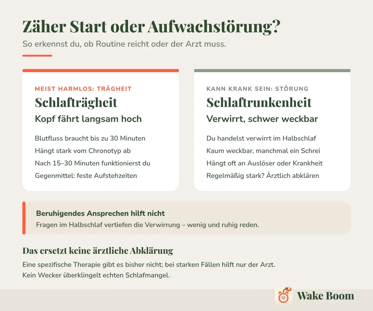 Zäher Start oder Aufwachstörung? — So erkennst du, ob Routine reicht oder der Arzt muss.