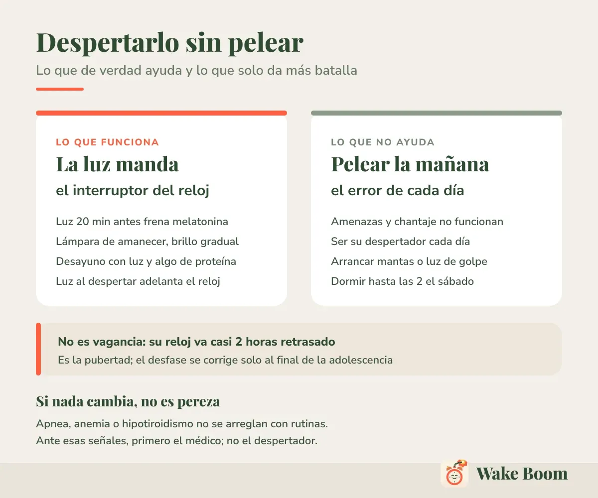 Despertarlo sin pelear — Lo que de verdad ayuda y lo que solo da más batalla
