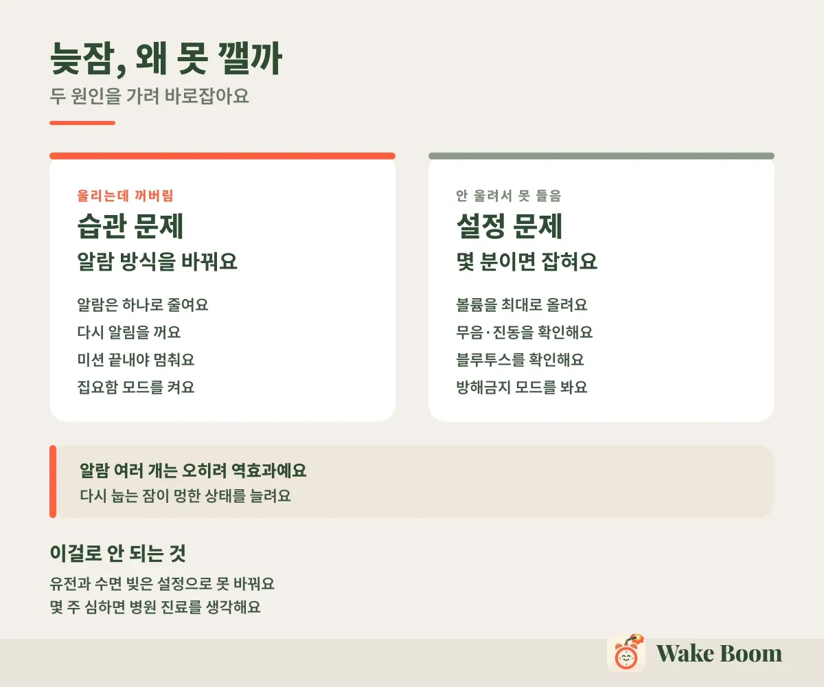 늦잠, 왜 못 깰까 — 두 원인을 가려 바로잡아요