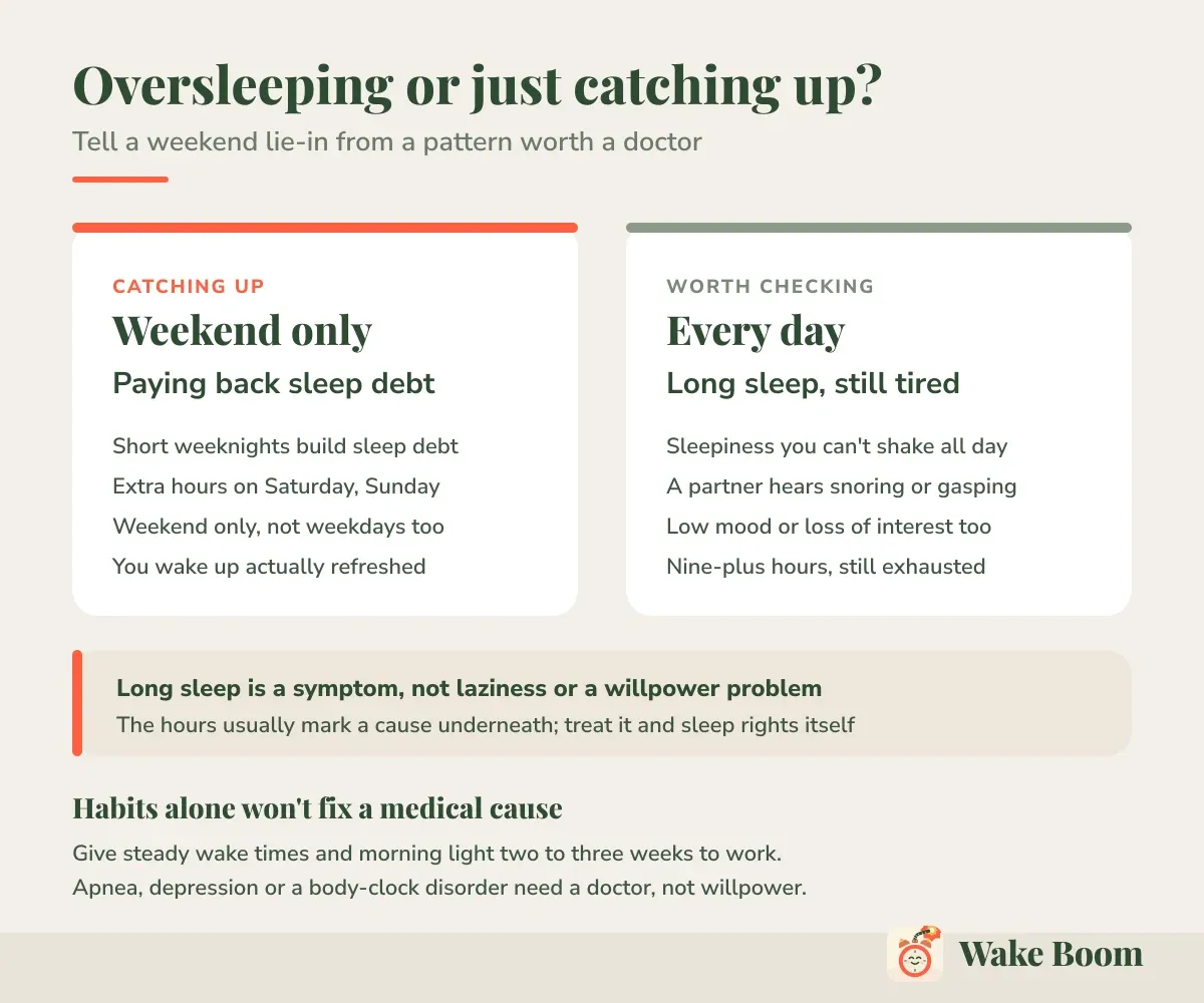 Oversleeping or just catching up? — Tell a weekend lie-in from a pattern worth a doctor