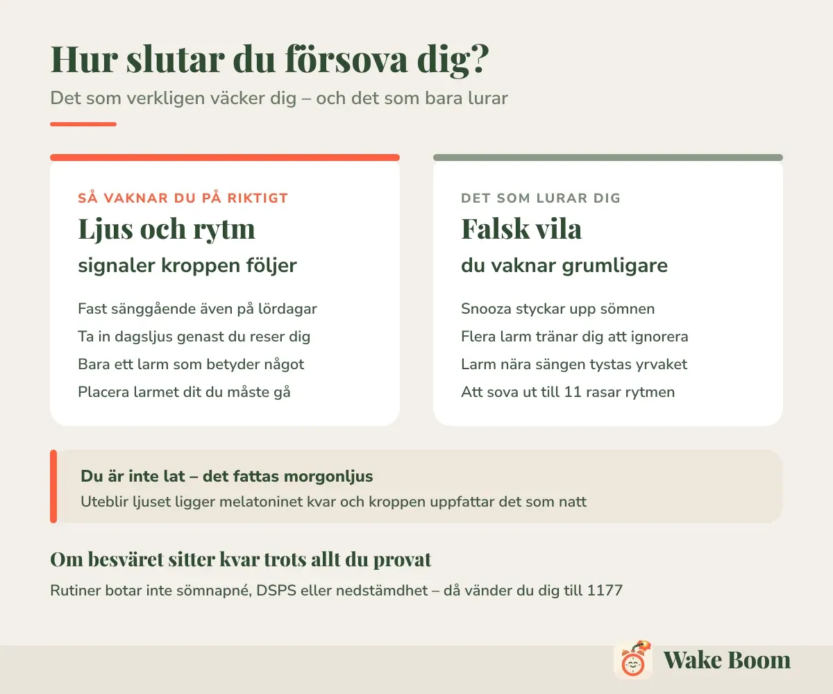 Hur slutar du försova dig? — Det som verkligen väcker dig – och det som bara lurar