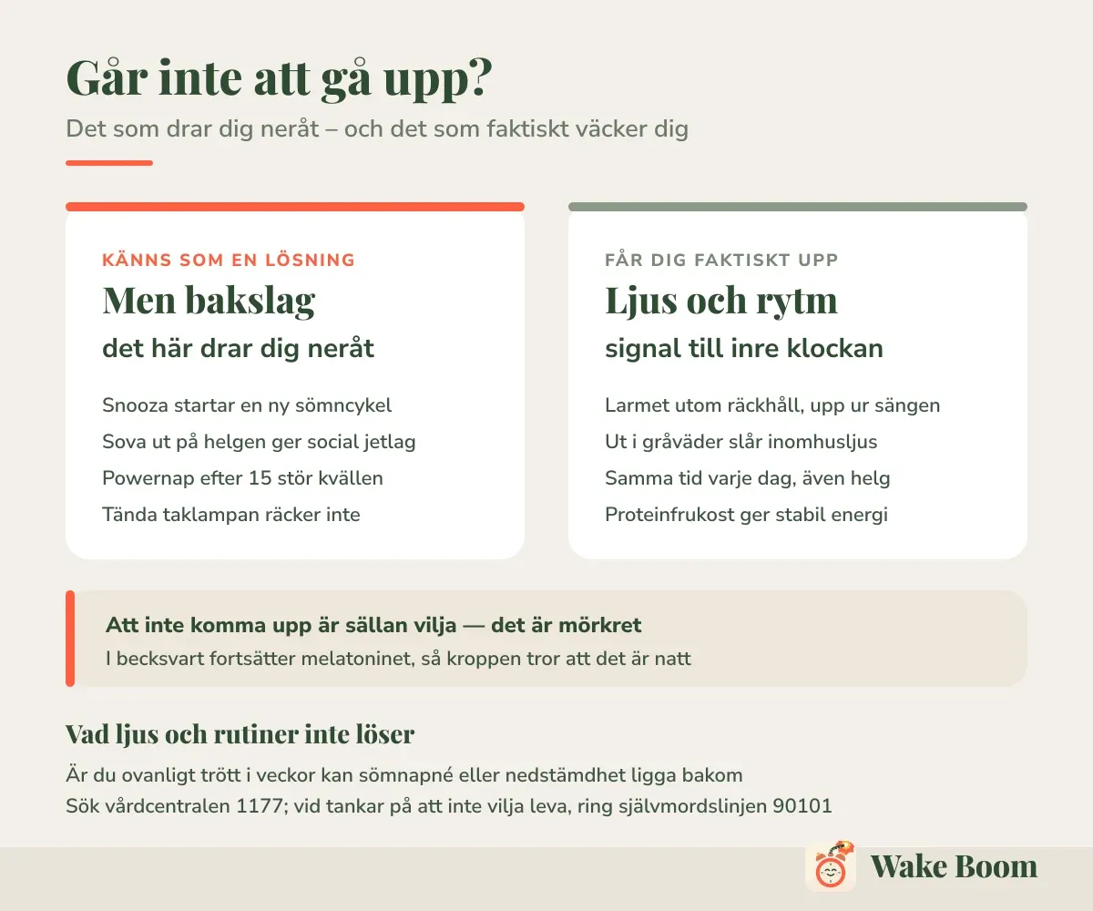 Går inte att gå upp? — Det som drar dig neråt – och det som faktiskt väcker dig
