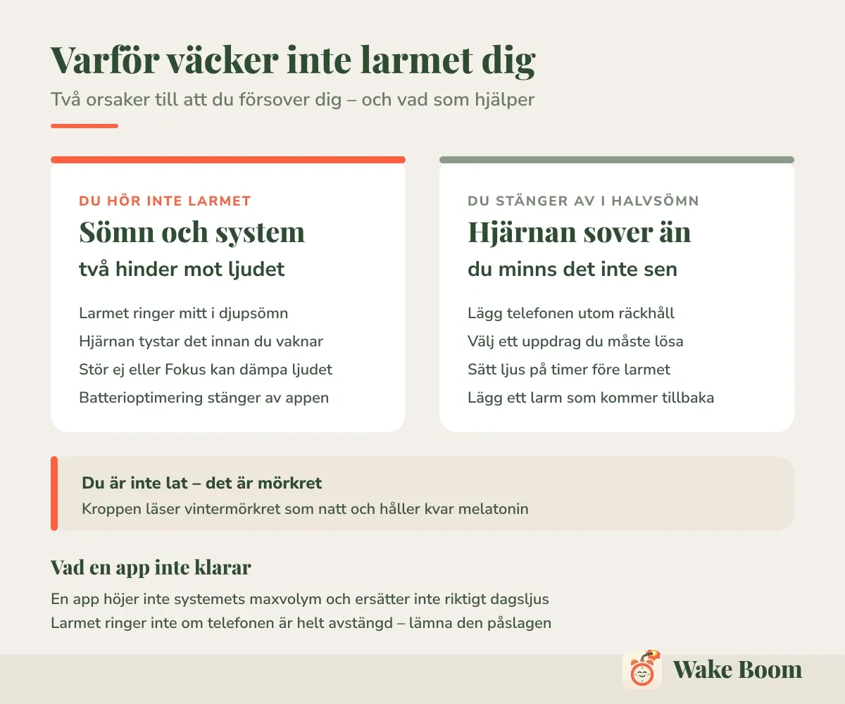 Varför väcker inte larmet dig — Två orsaker till att du försover dig – och vad som hjälper