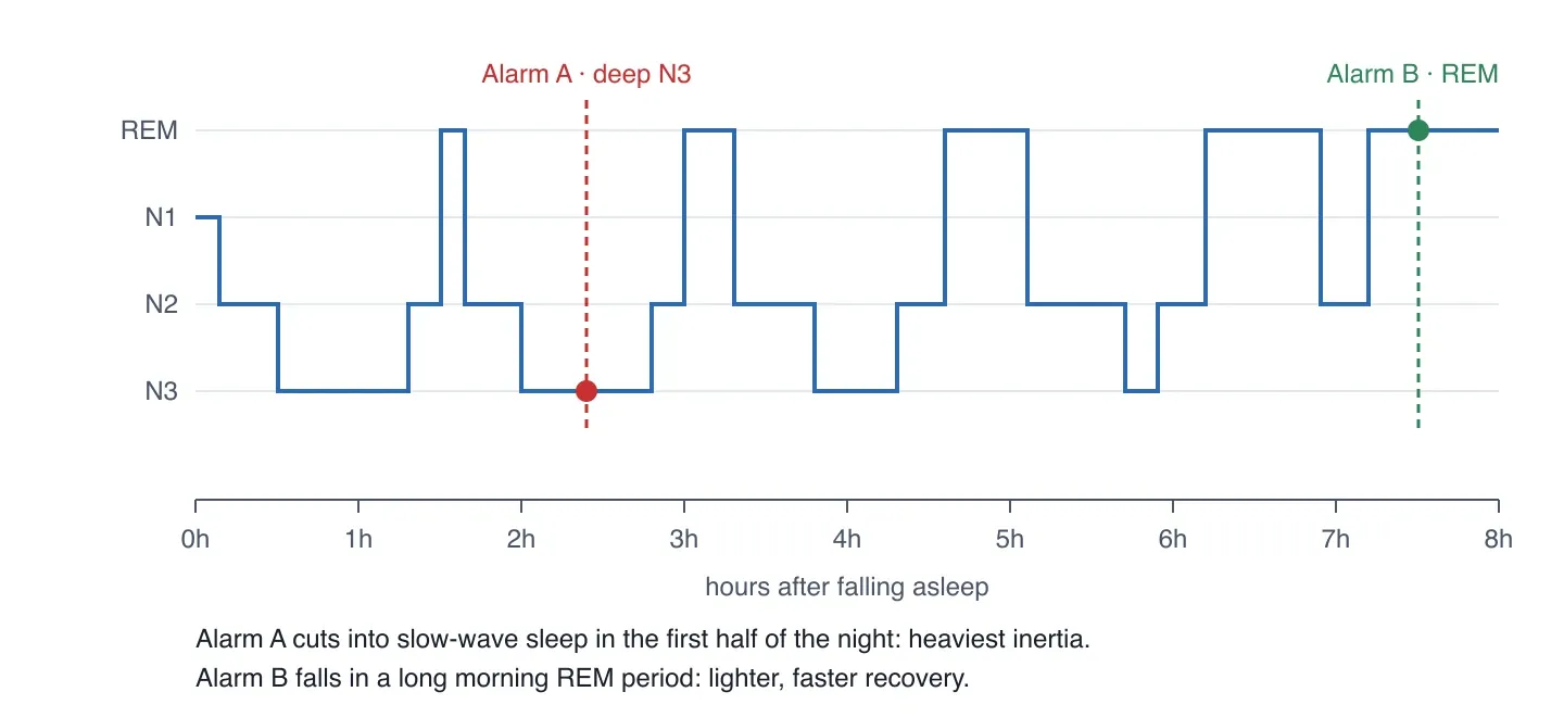 Schematic hypnogram of an eight-hour night. The vertical axis shows REM, N1, N2 and N3; the horizontal axis shows hours after falling asleep. Long N3 blocks dominate the first four hours, REM periods start short and lengthen toward morning. Alarm A falls inside an N3 block two hours twenty-four minutes into the night; Alarm B falls inside the long REM period seven hours thirty minutes in.
