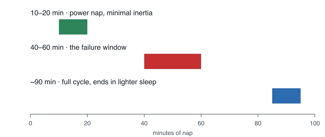 Horizontal bar chart of three nap windows on a nought to one hundred minute scale: ten to twenty minutes marked as the power nap with minimal inertia, forty to sixty minutes marked as the failure window, and about ninety minutes marked as a full sleep cycle