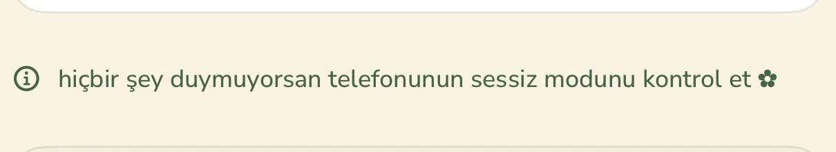 Wake Boom’un Türkçe ses seçme ekranından bir satır: bilgi simgesinin yanında «hiçbir şey duymuyorsan telefonunun sessiz modunu kontrol et» notu