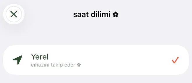 Wake Boom’un saat dilimi ekranının üst kısmı: başlıkta saat dilimi, altındaki ilk satırda Yerel ve cihazını takip eder, sağında kırmızı onay işareti